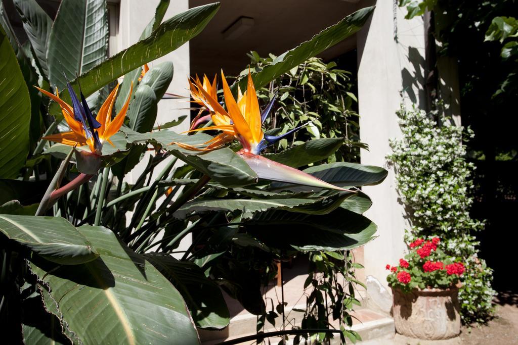 Albergo Stella Casciana Terme Buitenkant foto